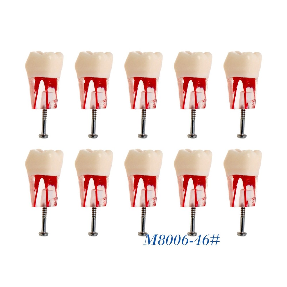 Dental 28Pcs Teeth Kilgore Nissin 200,Caries Root Canal Practice Replace Teeth
