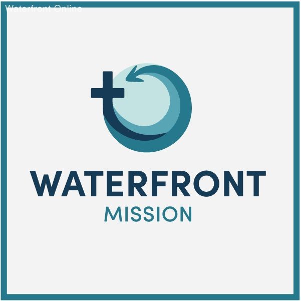 ViolinSmart Student Violin 4/4 Size Blue in Case Strings Instrument