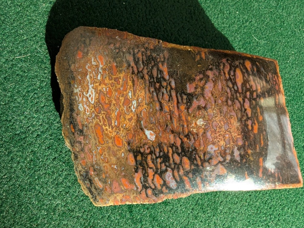 Dinosaur Bone * Polished * 3.4 oz. *