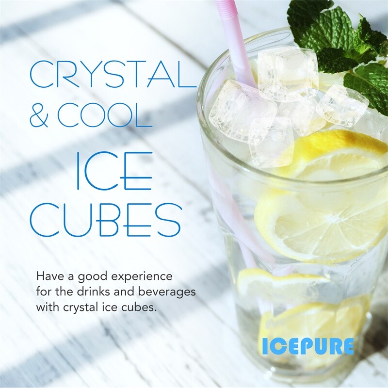 4 Pack Icepure 640565 EVOLFLTR10 AP3961137 WHKF-R-Plus Comparable Water Filter