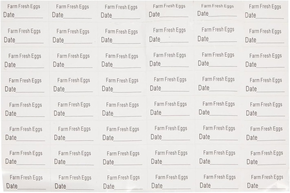48-Pack Plastic Egg Cartons Holds 1 Dozen with Date Labels