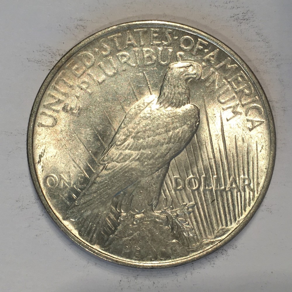 1922 Peace Silver Dollar - Check the High Quality Scans #D351