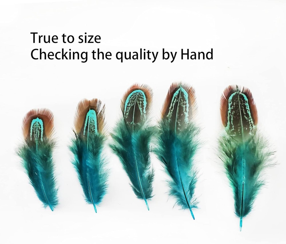 Natural Blue Pheasant Plumage Feathers 200pcs