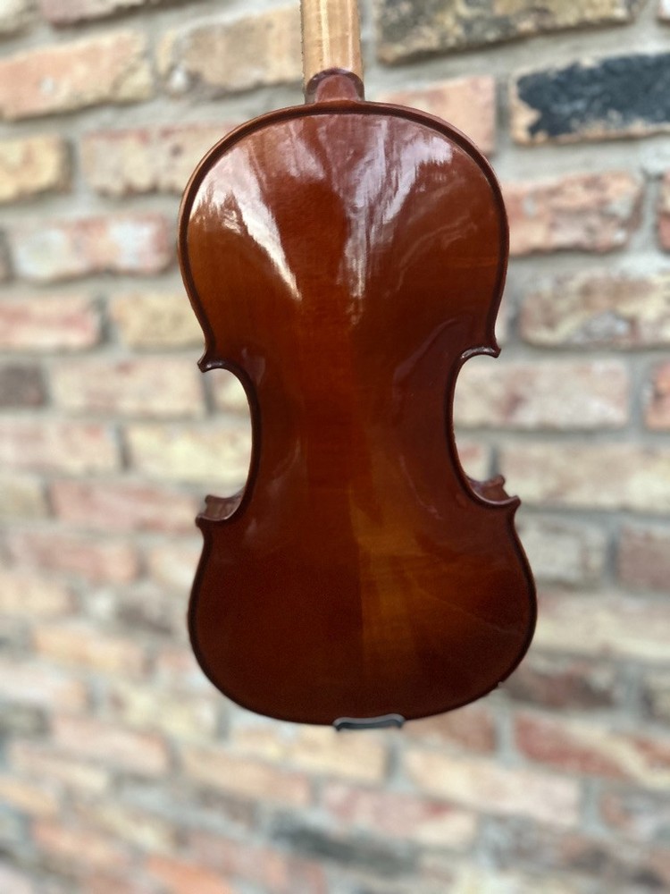 Maestro violin with two bows