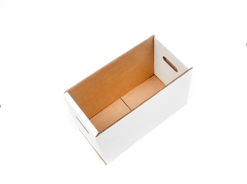 GEMINI Thick-Grip Short Comic Storage Box with Lid (glue-free)