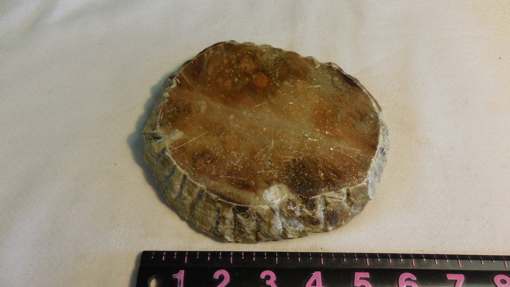 GEODE AGATE RAW STONE CUT POLISHED ASHTRAY