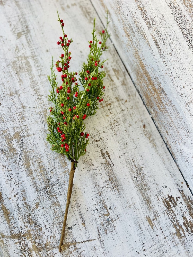 Crimson Tidings Cedar Pick