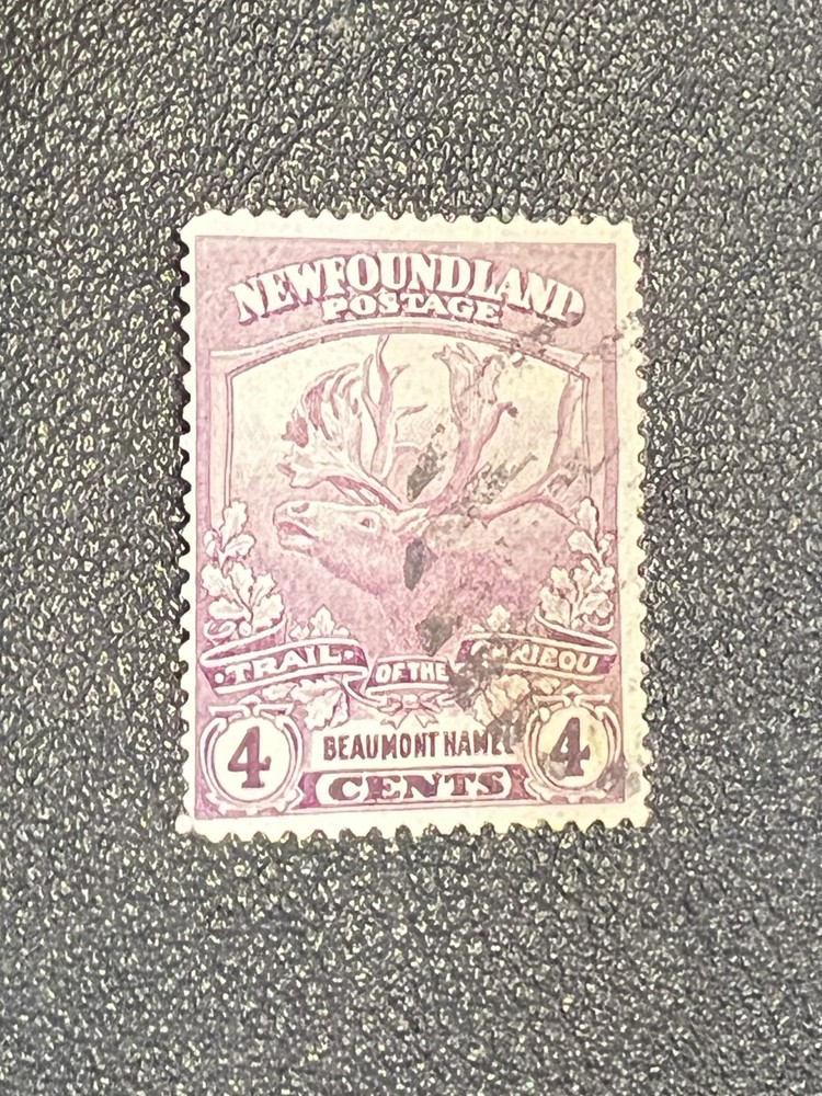 Newfoundland stamp 118 used