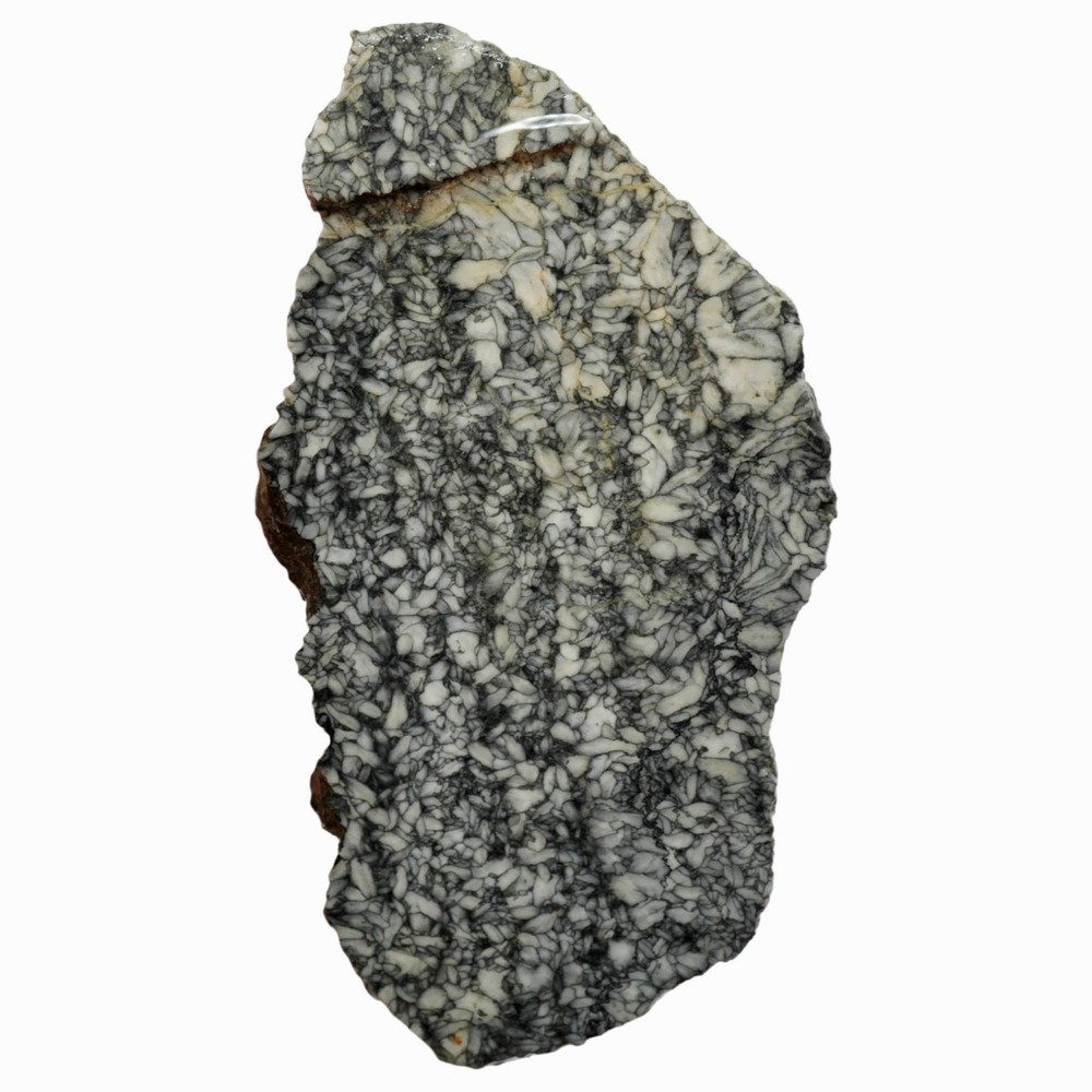 Pinolith Slab - Black on White with Chatoyancy