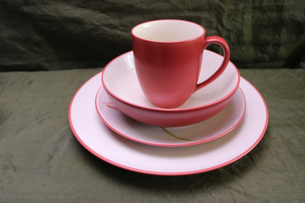 Noritake Colorwave Raspberry Red 4 pc Dinner Clematis Salad Plates Dinner Mugs