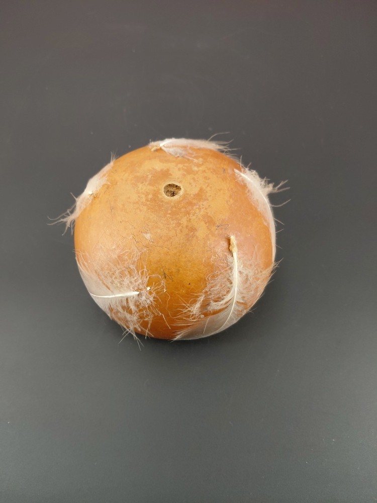 Gourd Dipper