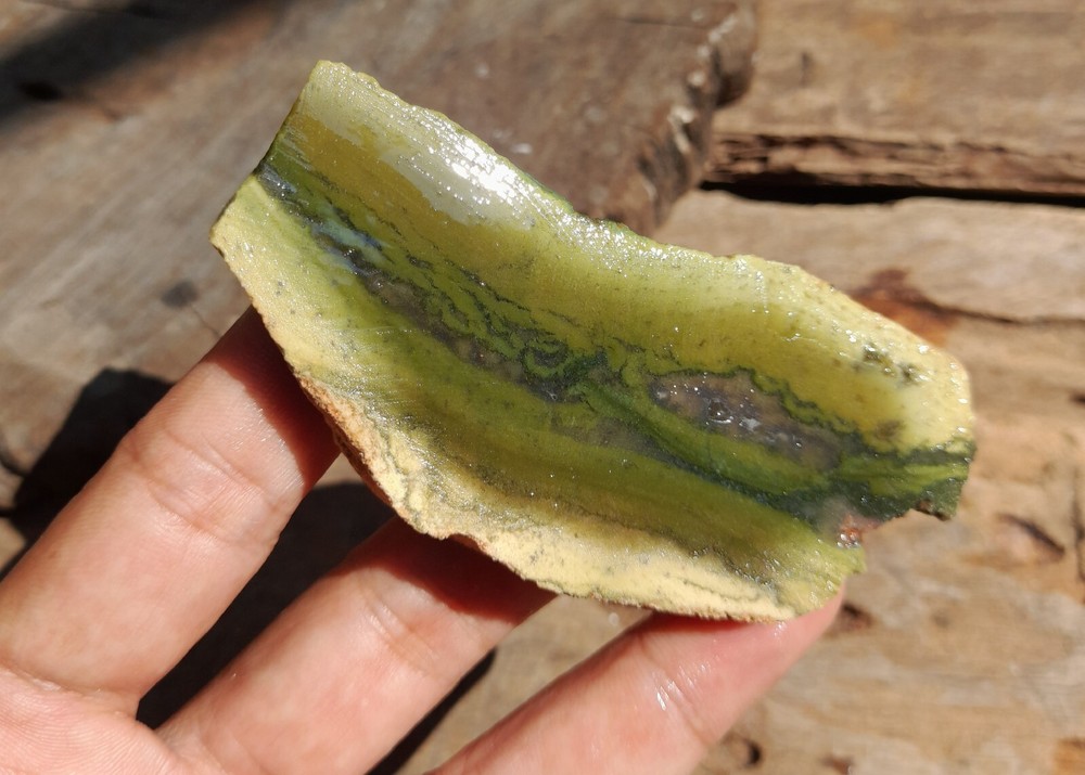 Green Moss Petrified Wood Agatized, Natural Slab Unpolished, Java Gem Collection