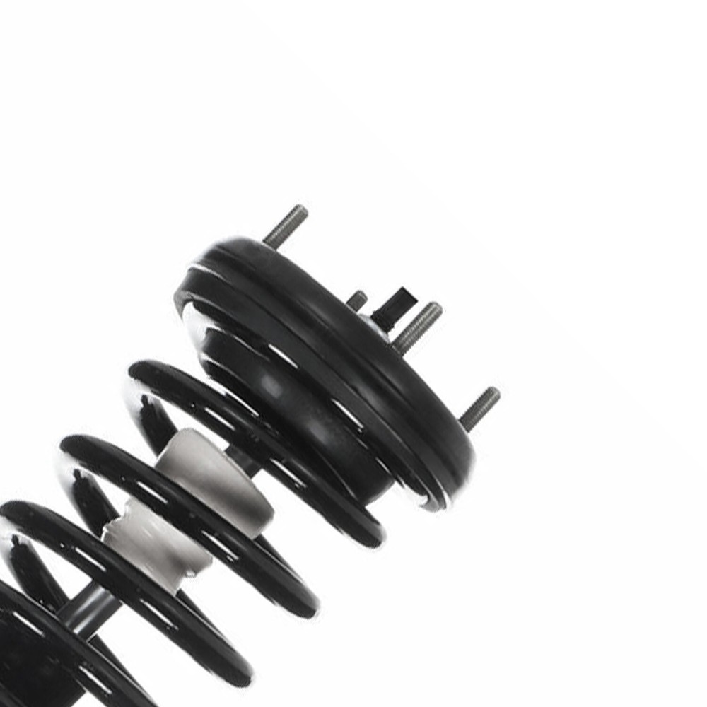 Front Left Right Struts w/ Coil Spring Assembly for 2002 - 2005 Ford Thunderbird