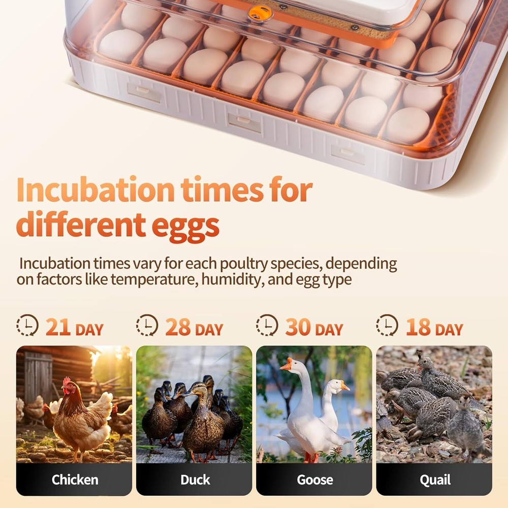 56 Egg Incubator with Automatic Egg Turning Egg Hatching Temp & Humidity Control