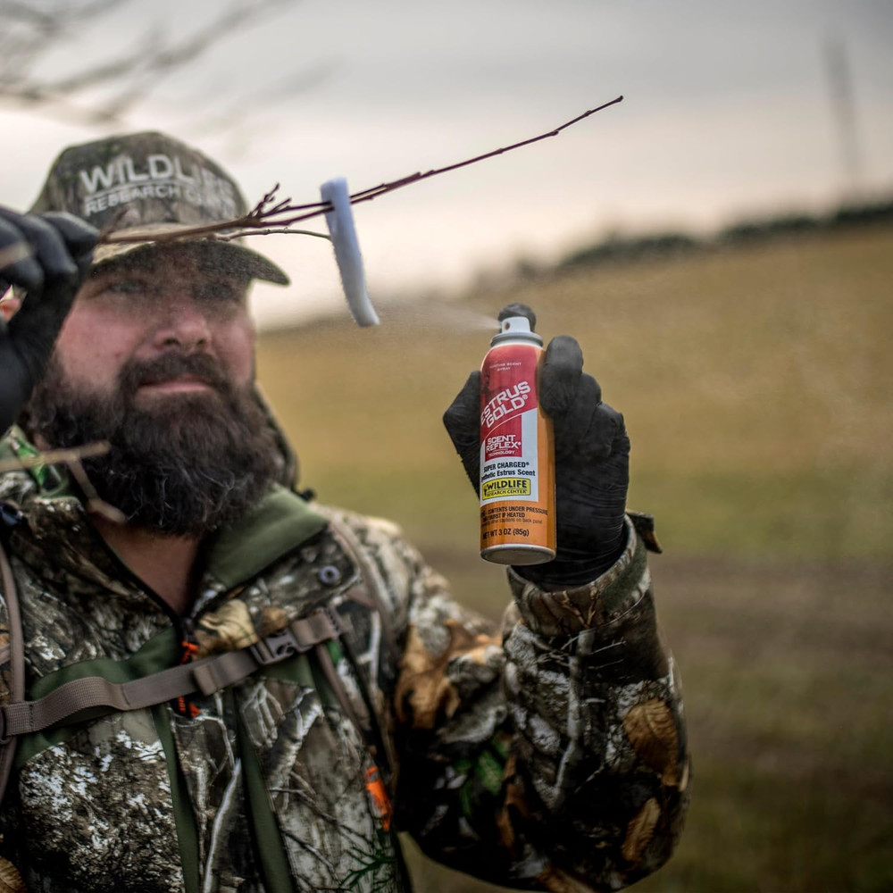 deer Attractant