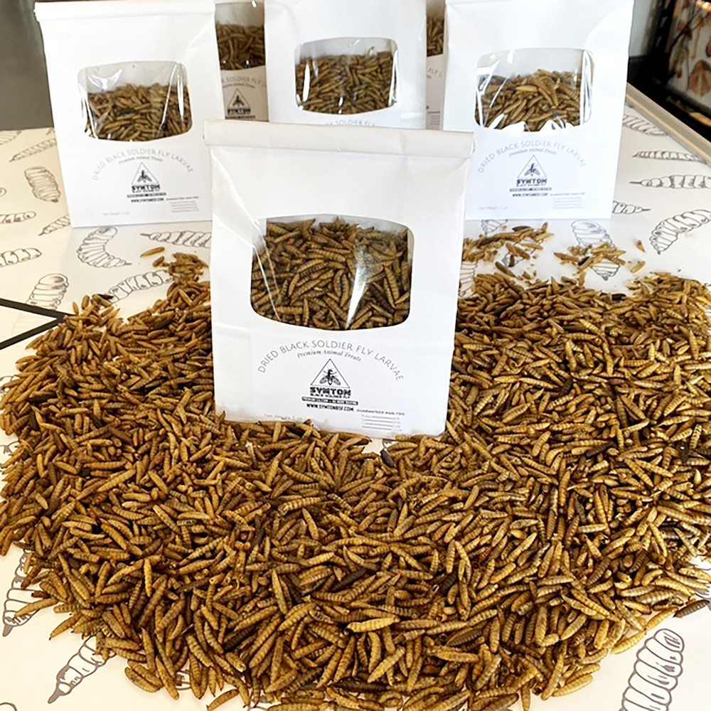 Dried Black Soldier Fly Larvae (5 oz)