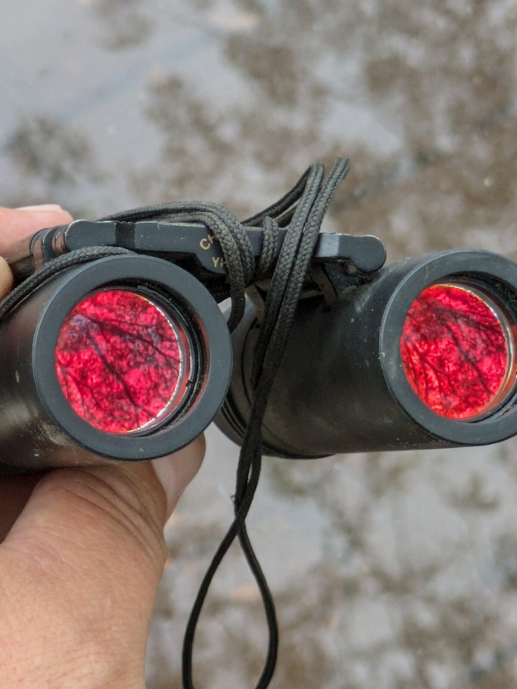 Tasco Sonoma 8x21 Compact Binoculars Well Used, Still Work!
