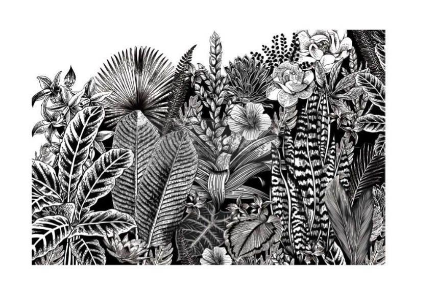 New! Redesign With Prima "Abstract Jungle" Decor Transfer, Rub On Image Transfer