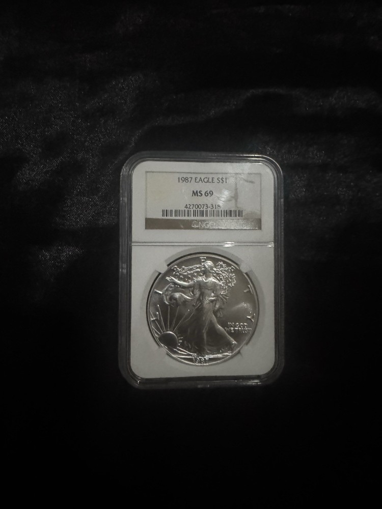 Silver rounds (everything in the picture)