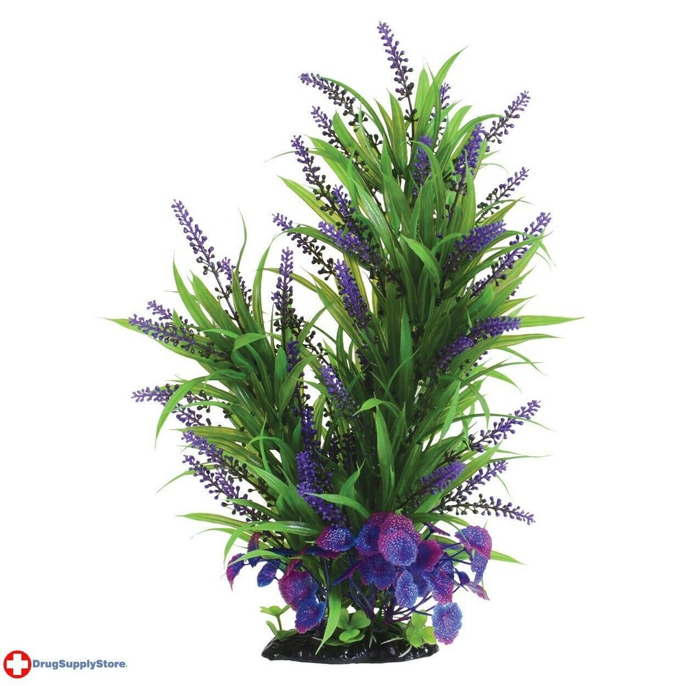 RA Purple Passion - 16"