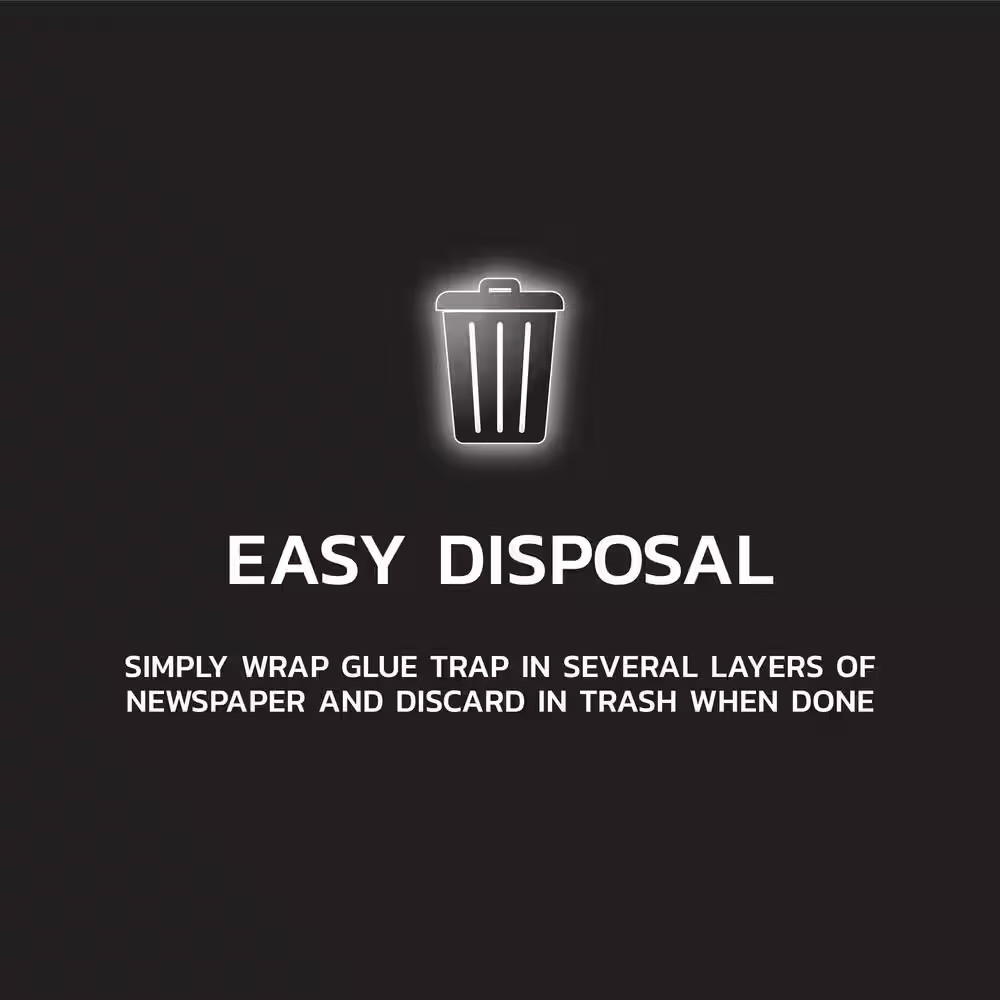 Mouse Glue Traps (4-Count) (2-Pack)