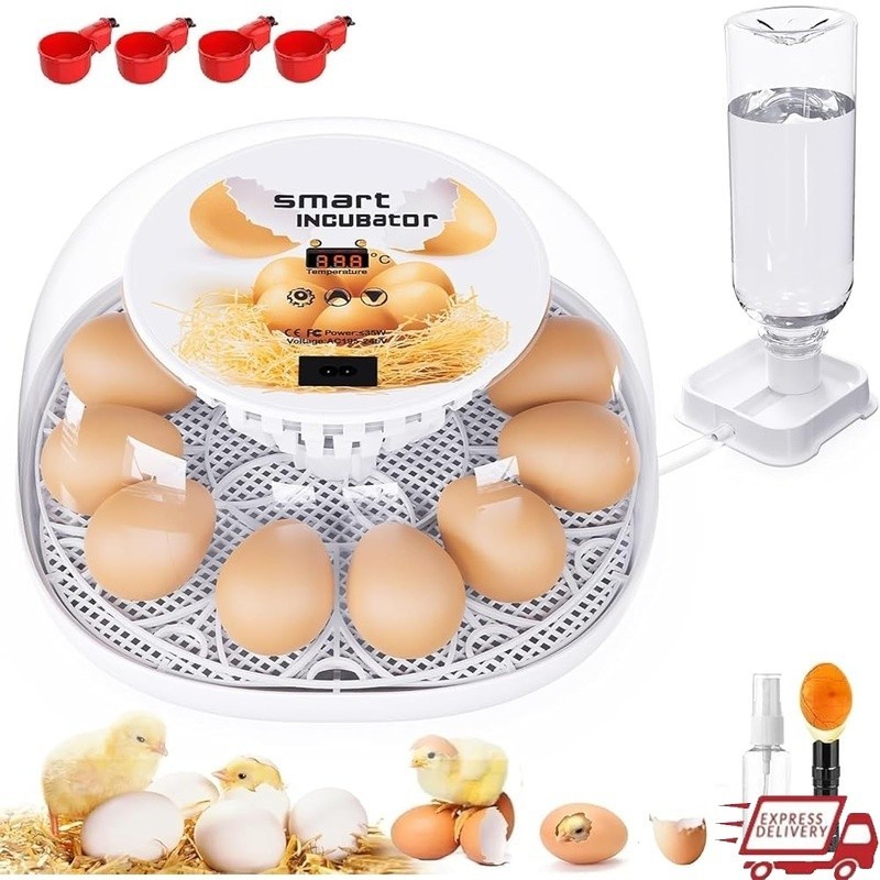12 Eggs Incubator Automatic Egg Turner LED Display Humidity Control Egg Candle