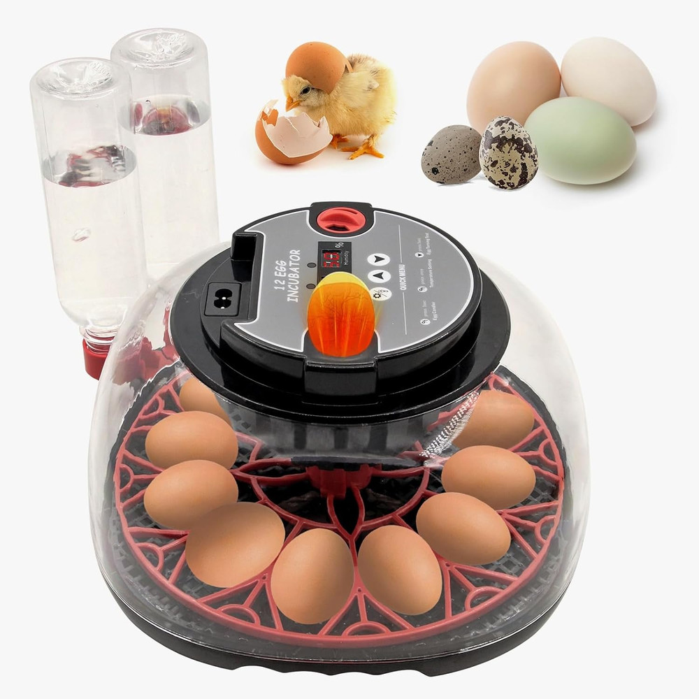 12 Egg Incubator with Humidity Display, Egg Incubator with Automatic Egg Turning