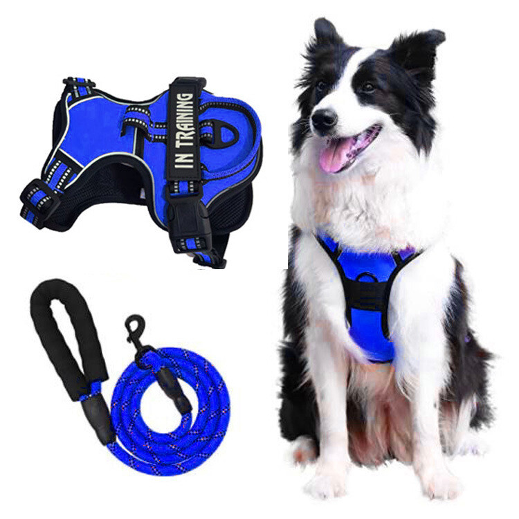No-Pull Dog Pet Harness + Leash Reflective Control Adjustable Collar Handle