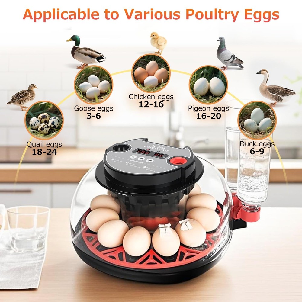 12 Egg Incubators for Hatching Eggs Automatic Egg Incubator with Temperature ...