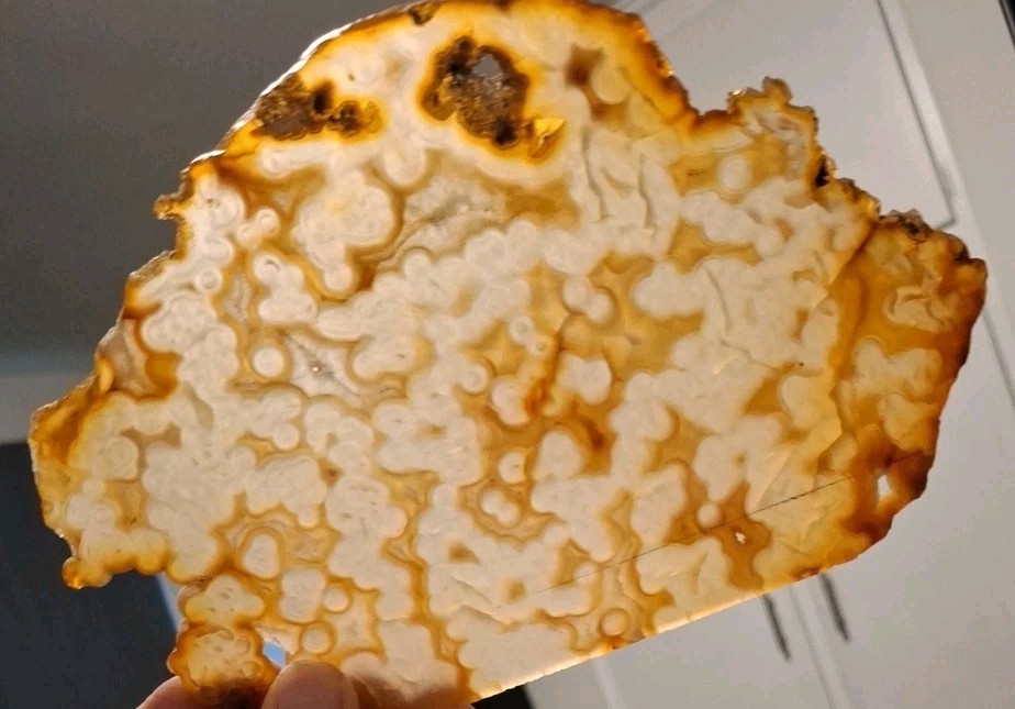 Orange Tinged Plume Agate Slab