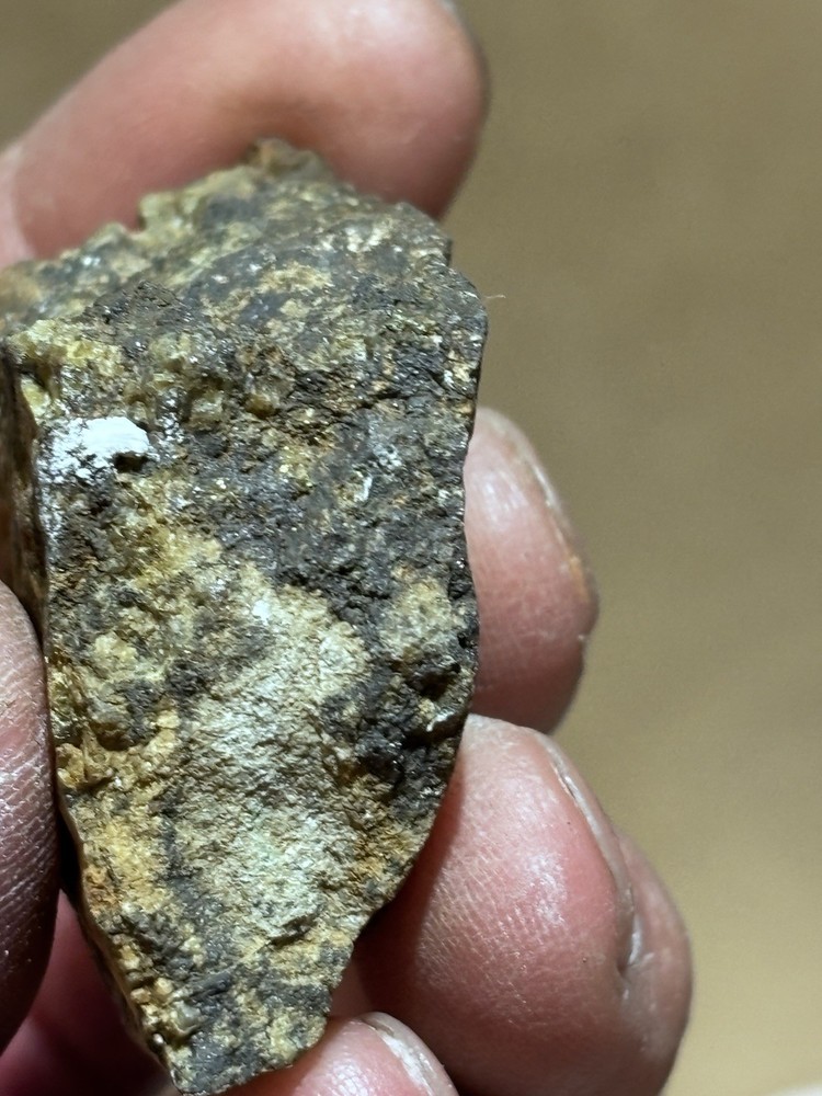 arizona silver gold tellurium ore
