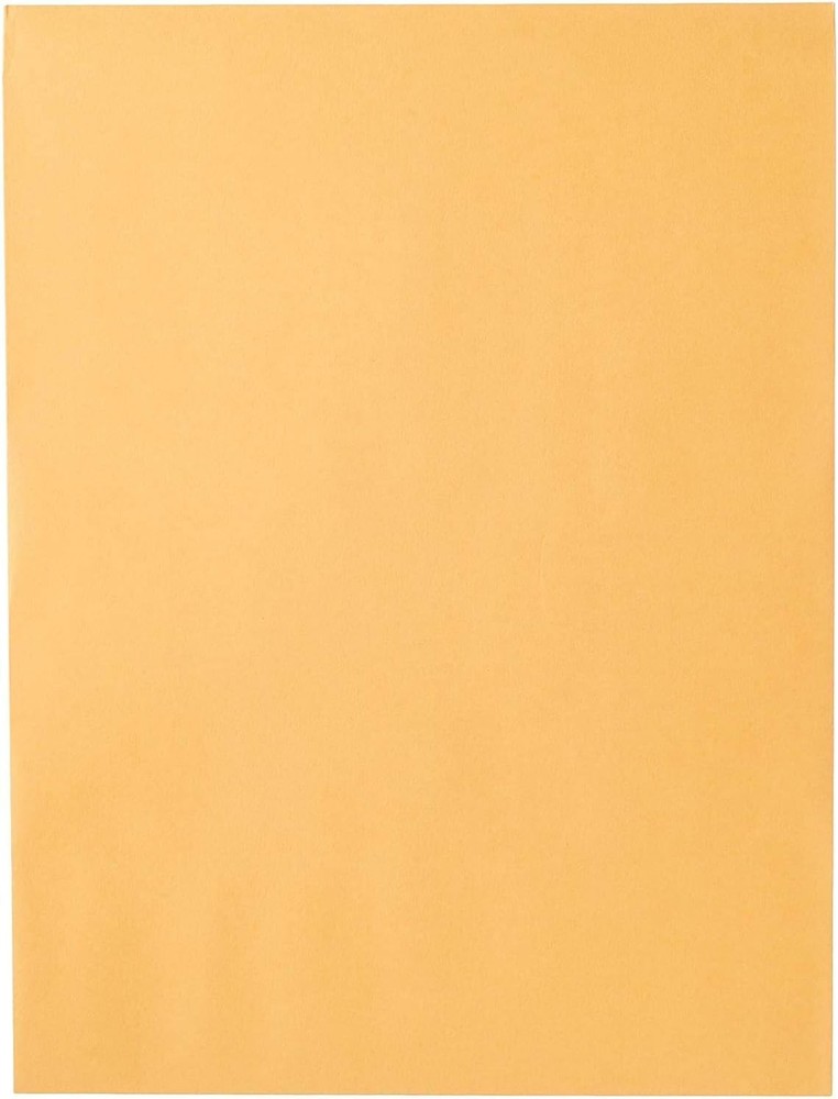 20 Count Brown Kraft Clasp Envelopes, 9" x 12", Secure Document Mailing
