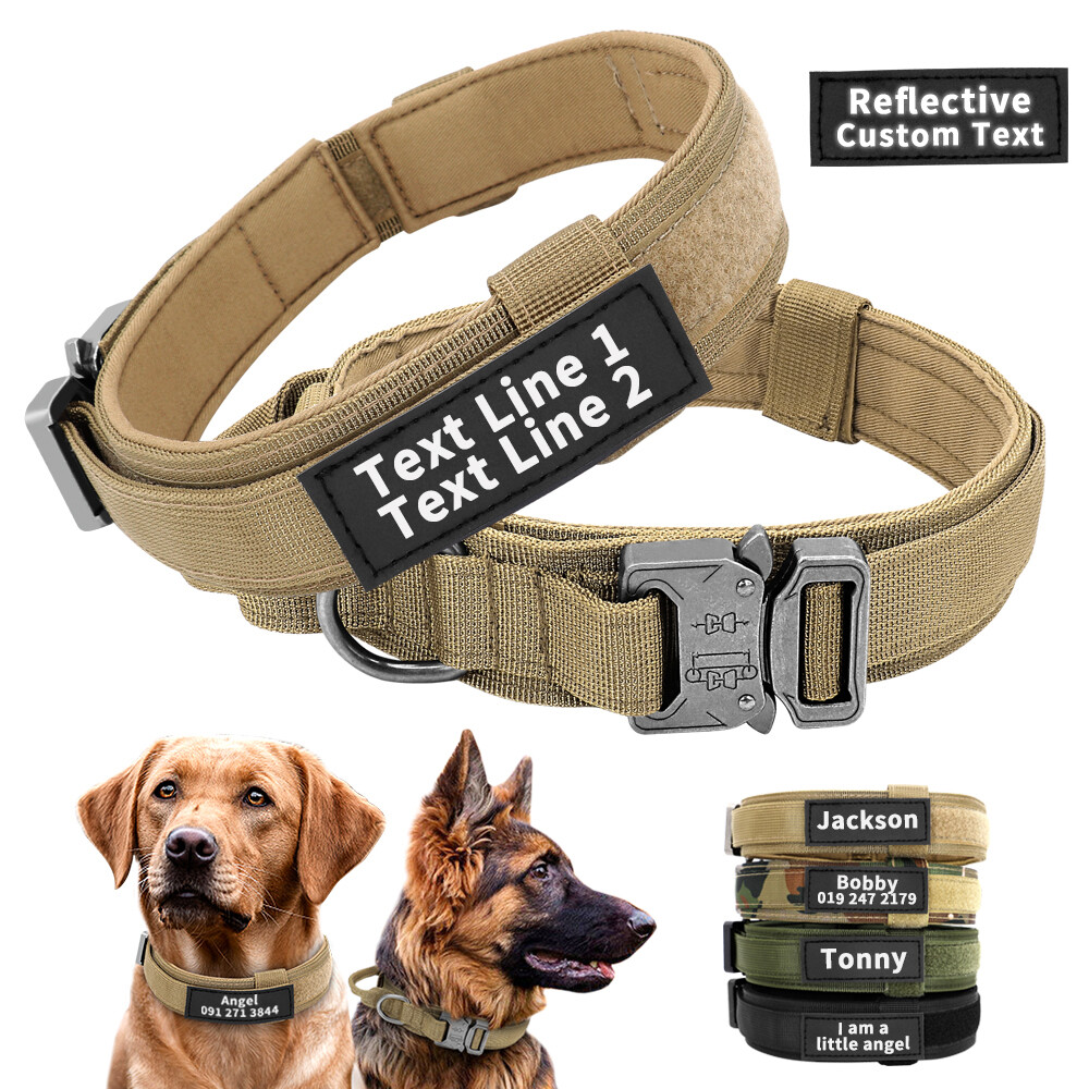 Personalized Dog Collar with Handle Training Custom Name Print