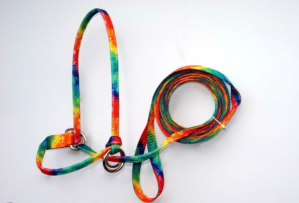 Halter All SMALL Yearling Calf, Mini Cow Endless Adjustable Breaking PATTERN USA