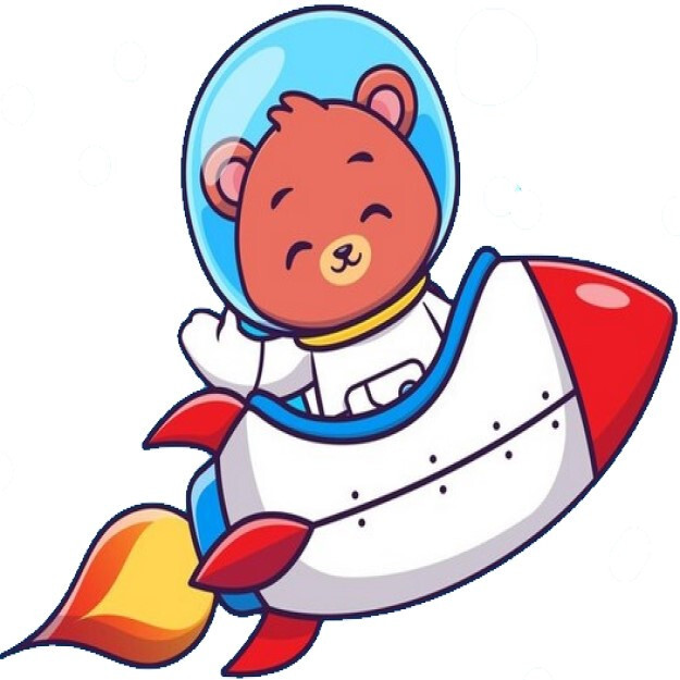 30 Custom Bear Rocket Astronaut Personalized Address Labels