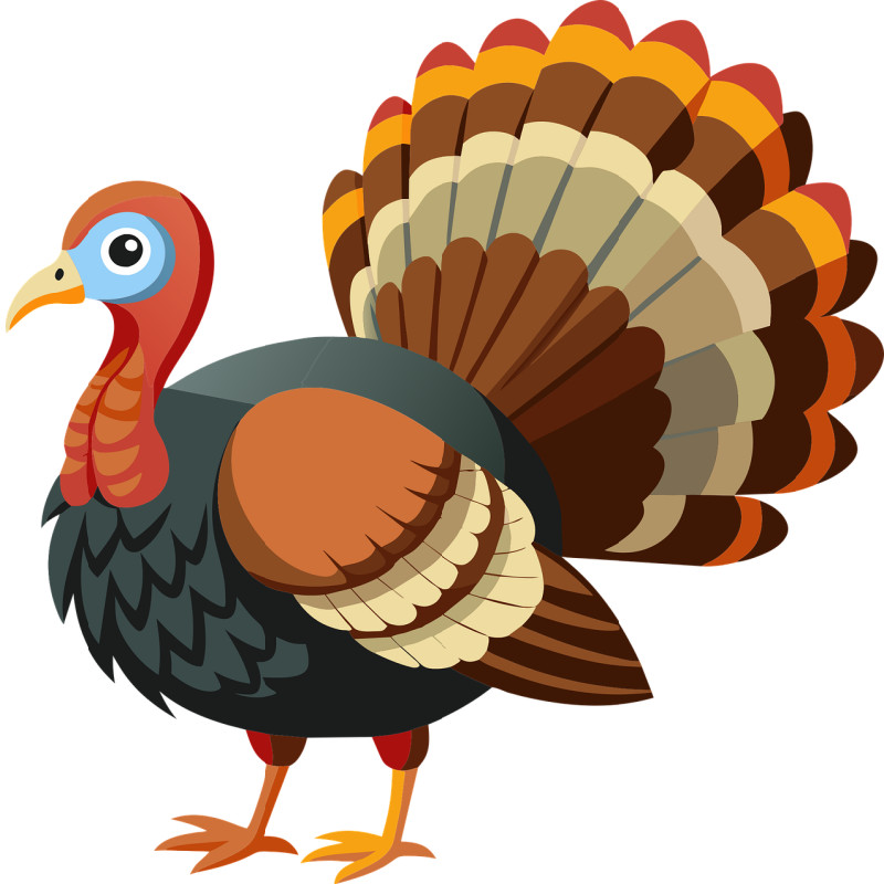 30 Custom Simple Turkey Personalized Address Labels