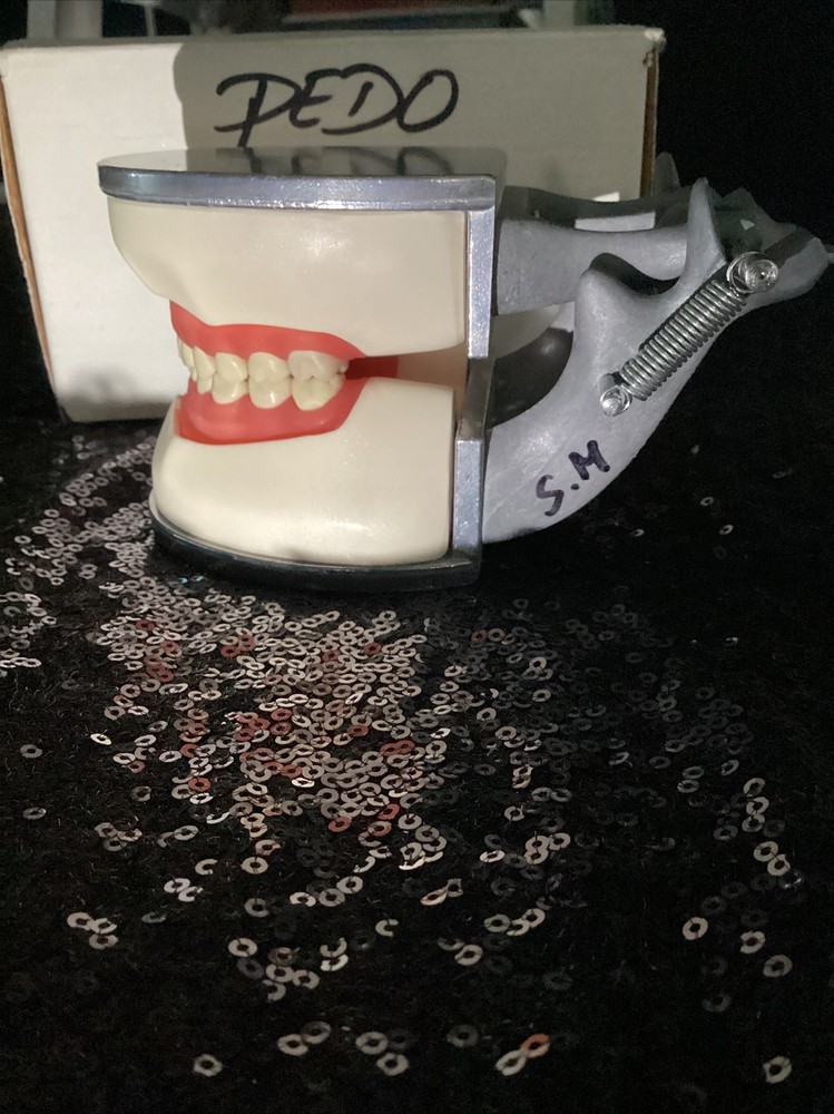 Columbia Dentoform Typodont R-7612 Dental