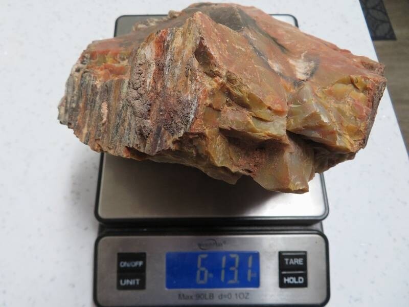 Petrified Wood 6 lbs & 13 ozs
