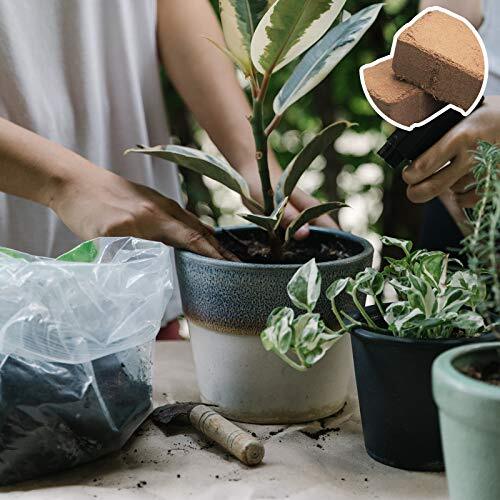 Expanding Coconut Coir Brick, 8-Pack Compressed and Lightweight for Planting