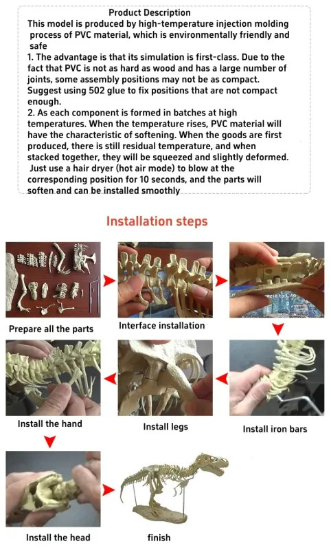 Large DIY Dinosaur Skeleton Toys Ornament Simulation T-Rex Model Jurassi