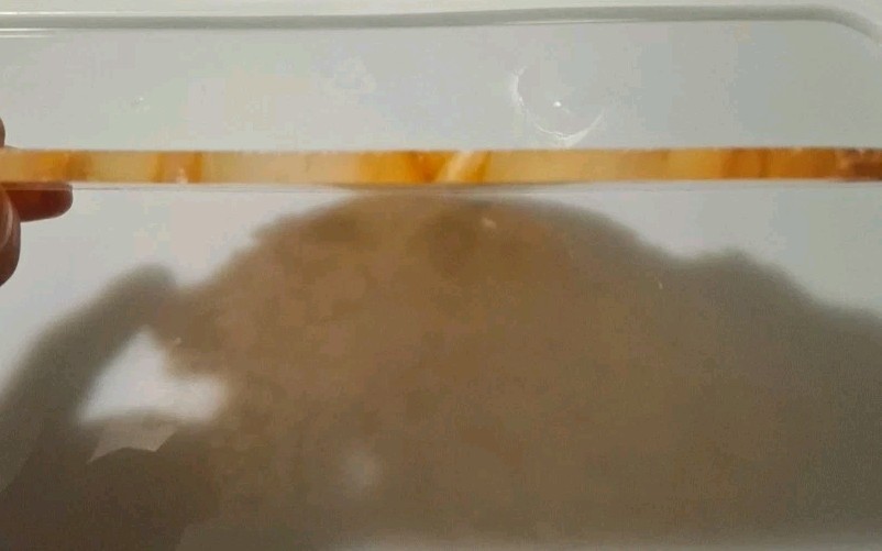 Orange Tinged Plume Agate Slab