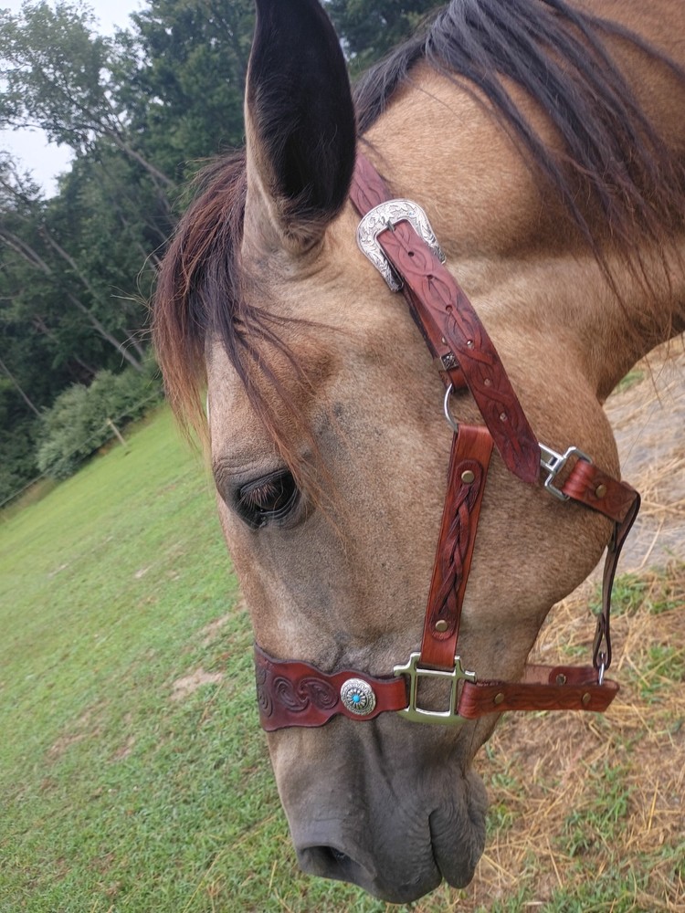 Custom hand tooled leather halter horse, any size or design
