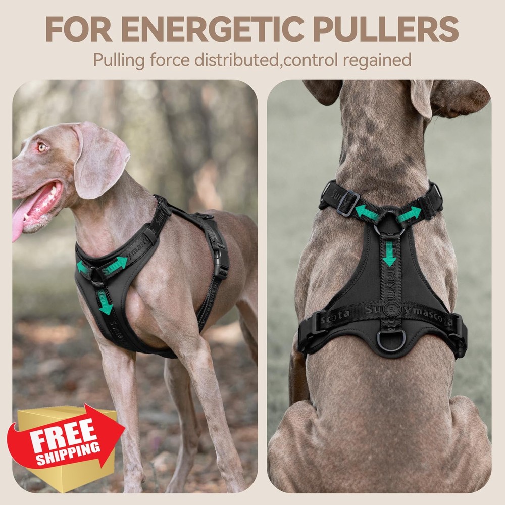 Sunraymascota No Pull Dog Harness S Black Mesh Adjustable Padded