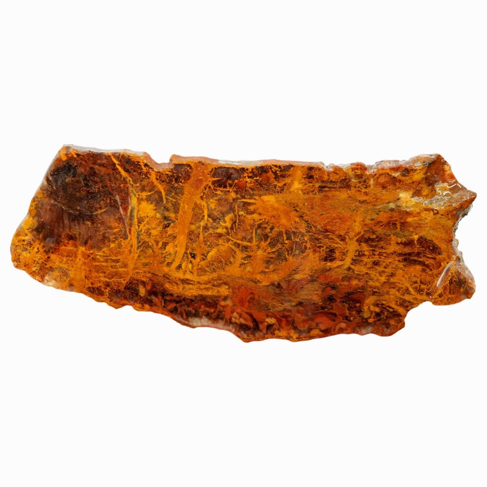 Madagascar Petrified Wood Slab - Orange Lightning Strike Pattern