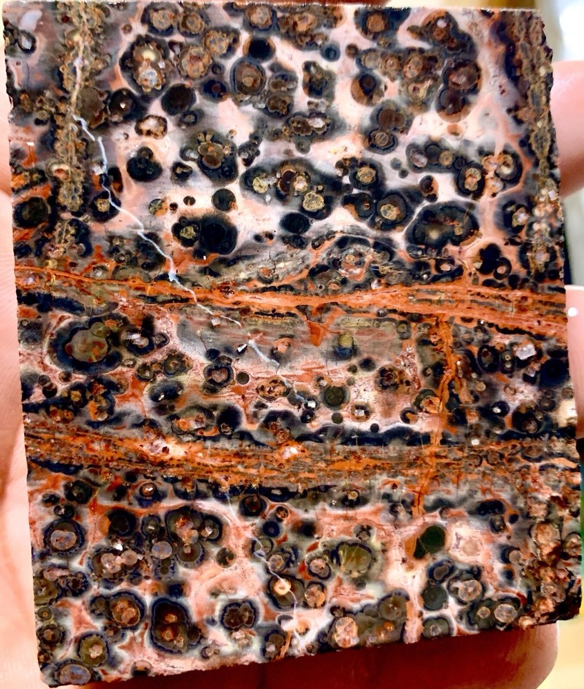 leopard skin jasper slab