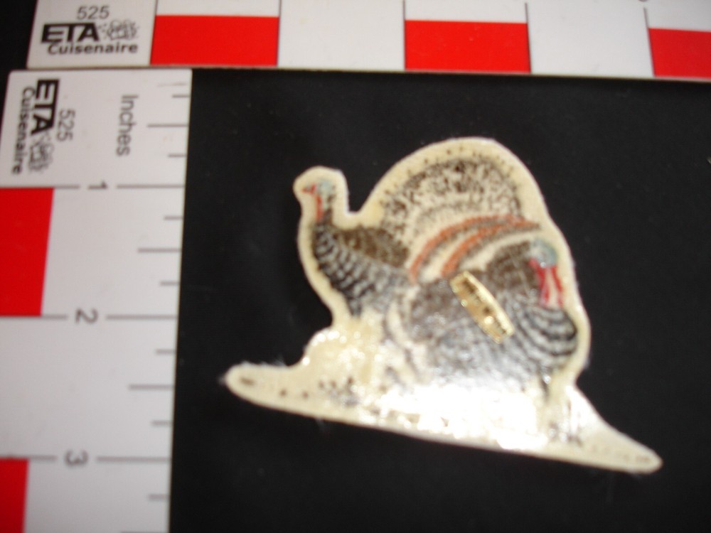 Hunting Patch Turkey