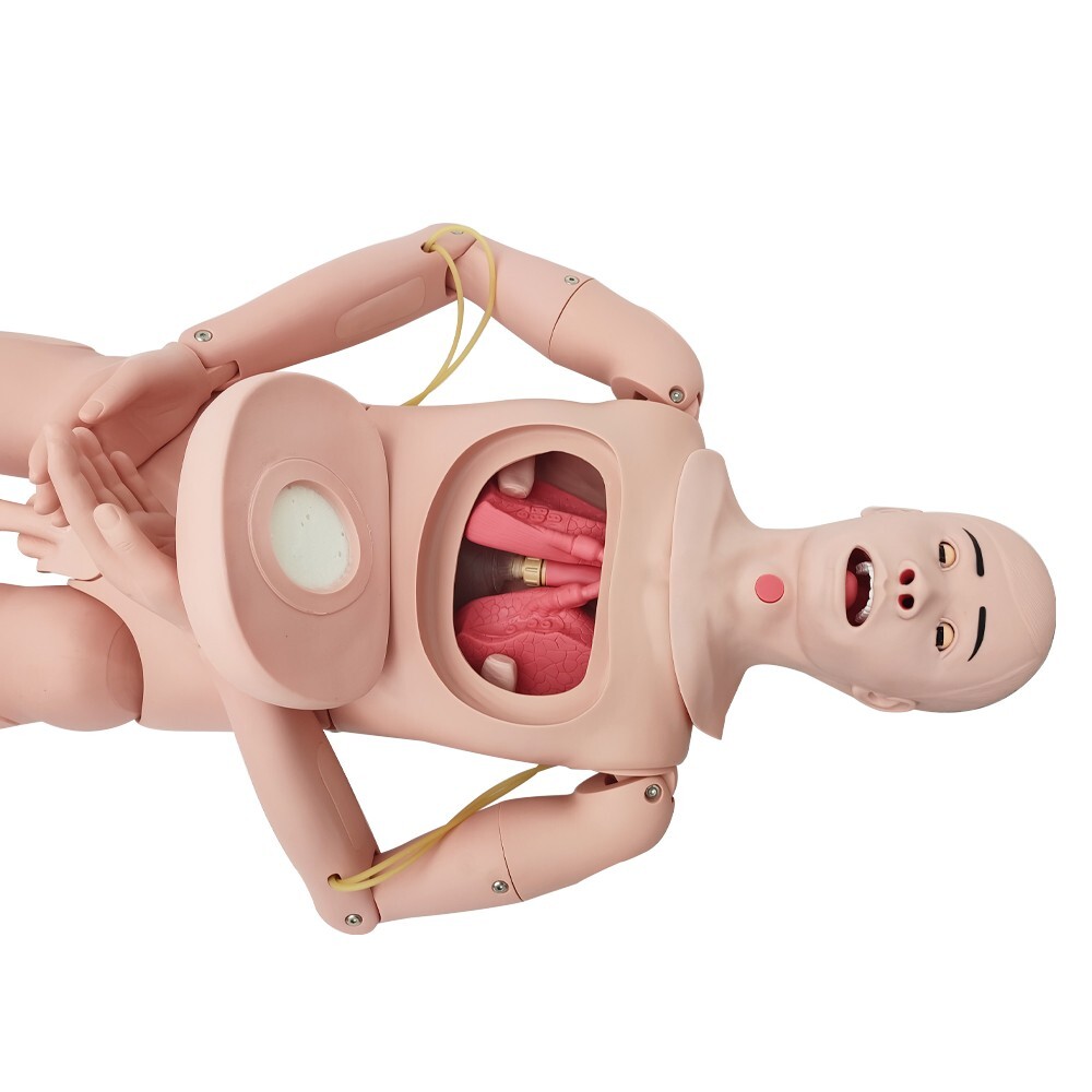 Trauma Simulator Multifunctional Nursing Training Model manikin Wound Care New
