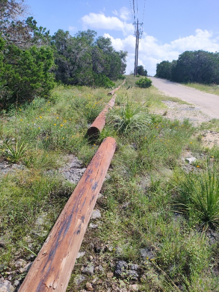 Telephone/Utility Poles