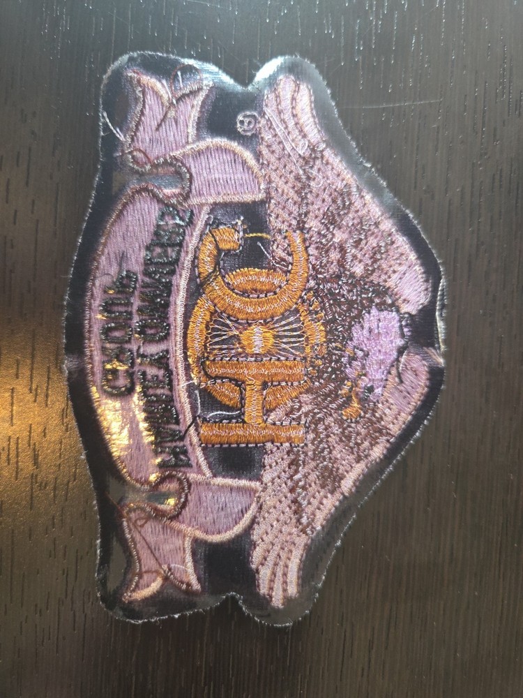 🔥 Large Harley Davidson Owners Group Patch Eagle Gold ~ HOG H.O.G. Motorcycle