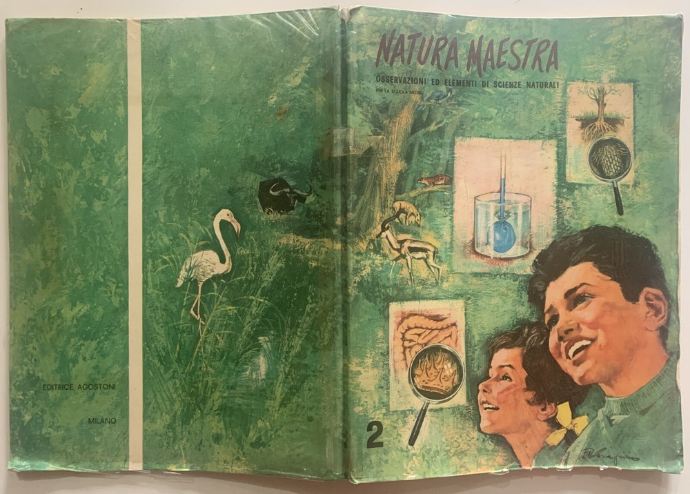 MASTER NATURE OBSERVATIONS ELEMENTS NATURAL SCIENCES ILLUSTRATED AGOSTONI 1968